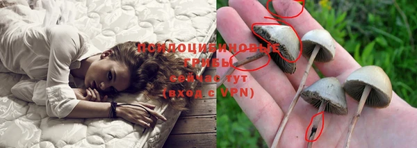 ALPHA PVP Алексеевка