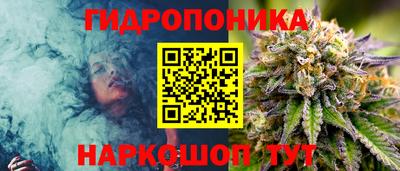 индика Абинск