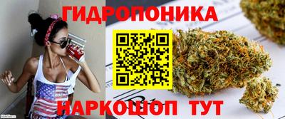 трава Абакан