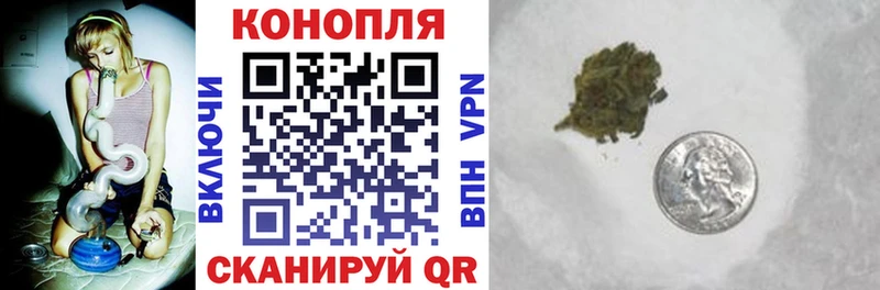 Бошки Шишки гибрид Алушта